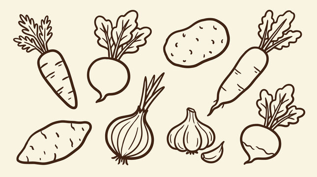 Artistic set of hand-drawn root vegetables including carrot, radish, and beet in a naive doodle style, charming organic food icons isolated on white background as creative vector illustration.