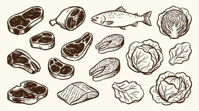 Naive brush sketch vector illustration featuring fresh protein sources like meat and fish alongside a head of green cabbage rustic artistic culinary still life drawing