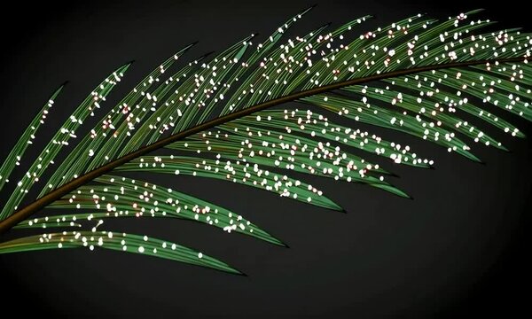 Delicate Palm Leaf with Sparkling Dots