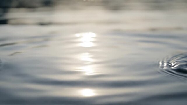 Single water ripple on calm surface with bright sunlight reflection