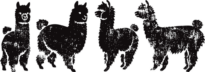 Obraz premium Four black silhouette alpacas in different poses standing side by side