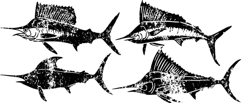 Vintage sailfish illustrations four detailed black ink drawings of different sailfish swimming in various directions