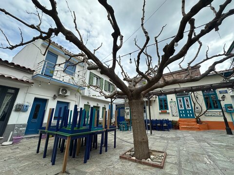 Outdoor dining area with empty tables under a large tree in a quiet courtyard in springtime