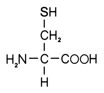 Developed the chemical structure of the cysteine molecule (sulfur-containing amino acid).