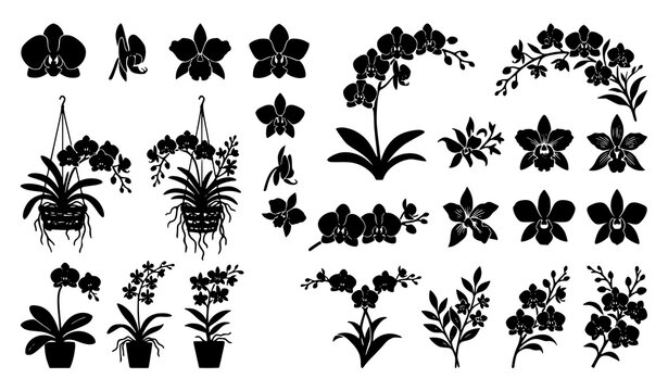 Orchid Plant and Exotic Blossom Variety Silhouette Icons Set for Botanical Florist Branding Spring Garden Patterns and Eco Product Packing Elements