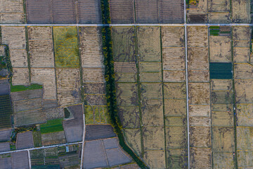 Aerial farmland patchwork with canal in Wenling, China © PhamThi