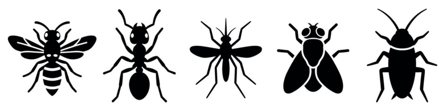 Insect icons set. Pest control symbols. Bee, ant, mosquito, fly, cockroach icons. Solid black silhouette style