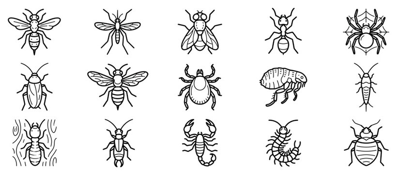 Pest and insect icons set. Various bugs and arthropods. Bee, mosquito, fly, ant, spider, cockroach, wasp, tick, flea, silverfish, termite, beetle, scorpion, centipede, bed bug. Outline
