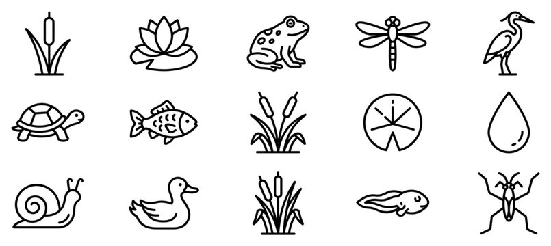 Pond life icons set. Aquatic animals and plants. Frog, turtle, fish, duck, snail, dragonfly. Cattail, water lily, tadpole, water drop. Outline style