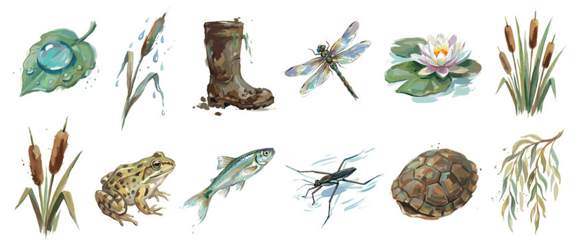 Pond life icons set. Nature elements from a pond environment. Dragonfly, frog, fish, turtle, water lily, cattail, leaf with dew, muddy boot. Watercolor style illustration
