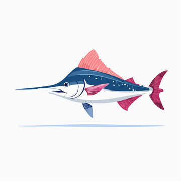 Blue Marlin Illustration