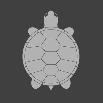 vector illustration of a turtle