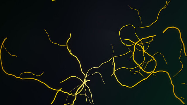 lightning in the night