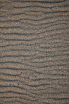 Rippled sand texture on the beach at sunset light