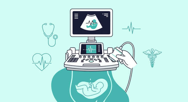 Illustration of Fetal Ultrasound Procedure: Healthcare, Diagnostic, and Prenatal Imaging Procedure