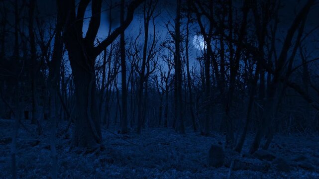Lightning Flashes In Moonlit Forest Moving Shot