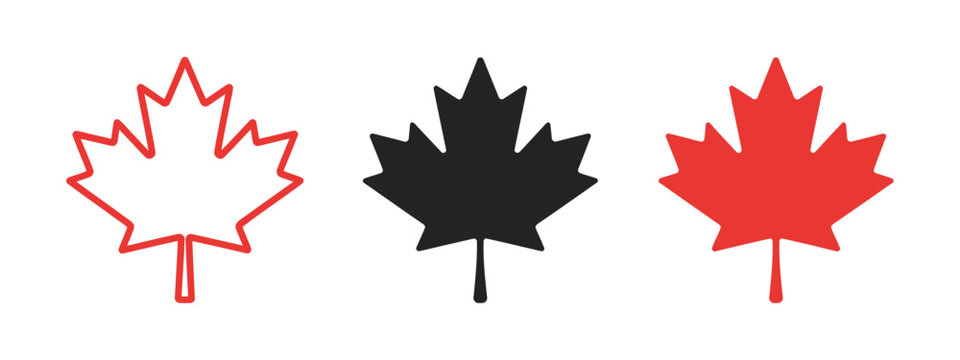 Maple leaf icon, Canada national symbol, red maple leaf silhouette vector illustration, patriotic emblem sign, autumn fall decorative nature icon design.