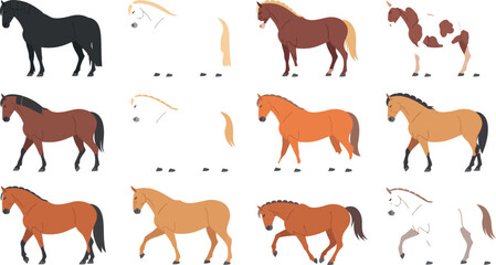 Obraz premium Horse Breeds Vector Illustration Set Featuring Various Stallion Coat Colors and Standing Poses for Equestrian Sports Ranching and Nature Theme Designs