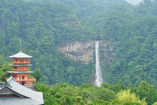 新緑の山々に囲まれた那智の滝と朱塗りの三重塔の美しい景観