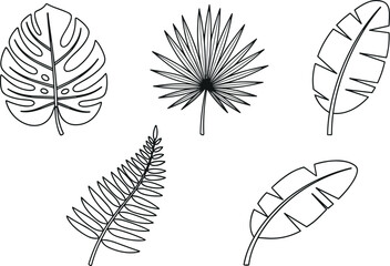 Tropical leaves vector set featuring black outline illustrations of monstera fan palm banana leaf and fern frond icons © MDMAHABUR