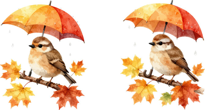 Autumn birds, watercolor sparrows, umbrella, fall leaves, vector icons