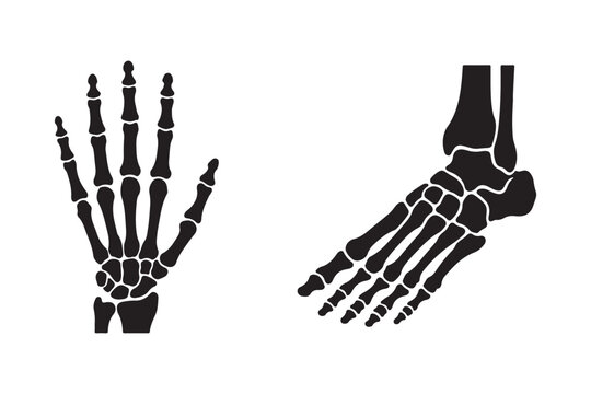 Human hand and foot skeleton anatomy icons for orthopedic black silhouette on white background