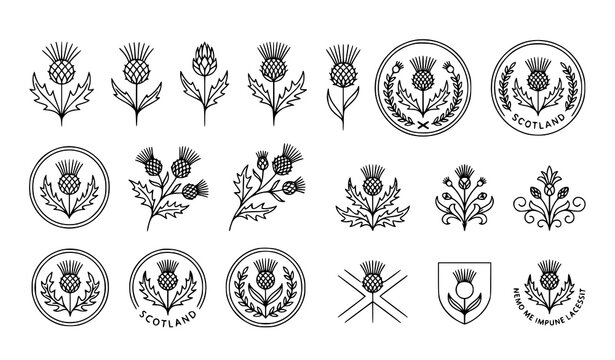 Traditional Scottish Thistle Floral Crest and Shield Emblem Line Art Set for Luxury Identity Branding Heraldic Graphics and Certificate Border Decorations