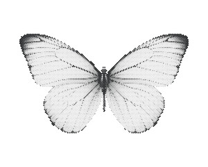 Retro halftone vector illustration of a delicate butterfly with circle dot pattern isolated on white background