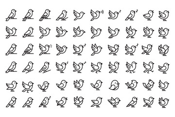Fototapeta premium Various black line art birds in different poses and actions on white background