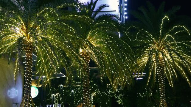 Tropical palm trees decorated with glowing golden string lights for a festive holiday celebration, creating a warm and magical atmosphere in a modern urban city setting during the evening