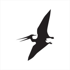Pterodactyl silhouette on white background dinosaur prehistoric flying reptile winged © CHONDON