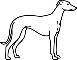 Fototapeta premium Elegant Greyhound Silhouette Drawing, Minimalist Line Art of a Sighthound Dog