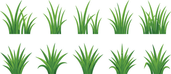 Obraz premium Set of green grass clumps and tufts vector illustrations isolated on white for spring landscape design