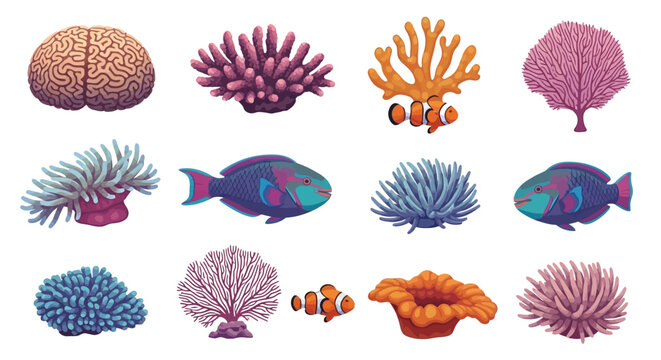 Brain Coral, Clownfish, Parrotfish, and Sea Anemones - Underwater Life Collection