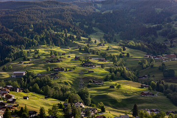 Obraz premium Lush green over the famous Grindelwald meadows with traditional chalets in sommer afternoon sun, Swiss Alps
