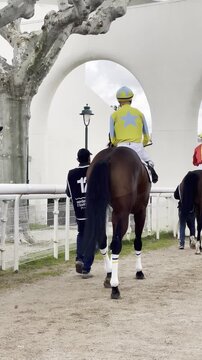 Caballos de carreras, turf mozos y jockeys bajando de paddock a pista de hip&oacute;dromo racecourse