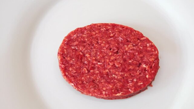 Raw hamburger patty on a plain white plate