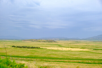 Fototapeta premium Golden Hay Bales in a Verdant Meadow