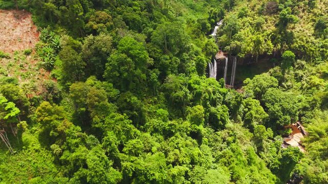 Aerial drone footage sweeping toward Tad Tayicseua Waterfall in the tropical jungle of Attapeu Province, southern Laos. The lush green forest canopy parts to reveal the dramatic waterfall dropping ove