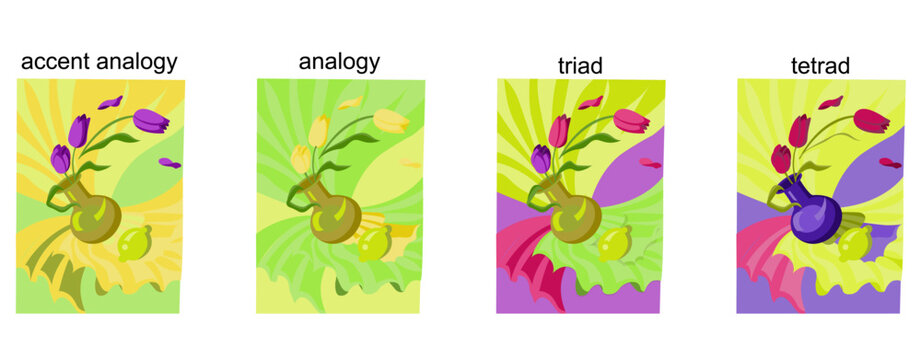 Color harmonies accent analogy, analogy, triad, tetrad on the example of still life. Vector illustration isolated on white background.
