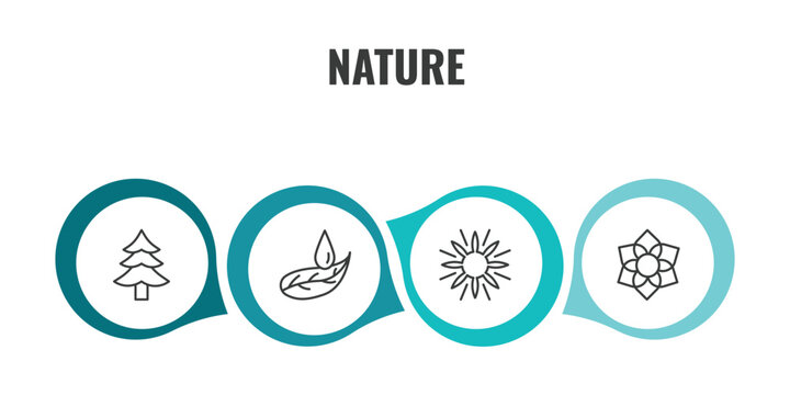 nature outline icon set. thin line cedar, leaf and drop, sun flare, clematis icons. editable vector