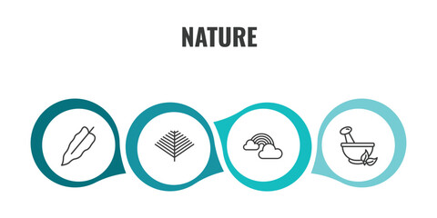 nature outline icon set. thin line philodendron, pine needle, rainbow behind a cloud, flower therapy icons. editable vector © Farahim