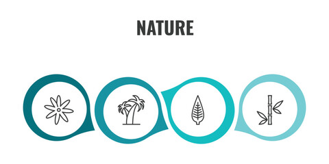 Fototapeta premium nature outline icon set. thin line sisyrinchium, coconut tree standing, lanceolate, bamboo branches icons. editable vector