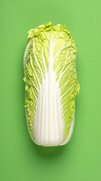 Fresh whole Napa cabbage on a bright green background, top view