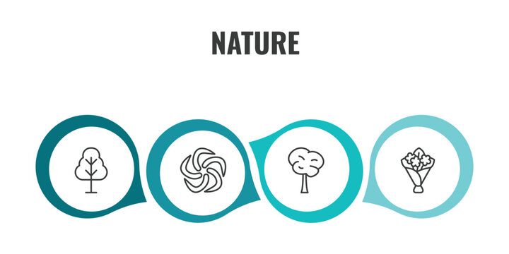 nature outline icon set. thin line birch, whirlpool, bigtooth aspen tree, flower bouquet icons. editable vector
