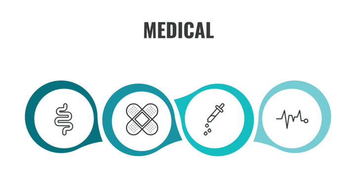 medical outline icon set. thin line intestines, bandage cross, eye dropper, pulse line icons. editable vector