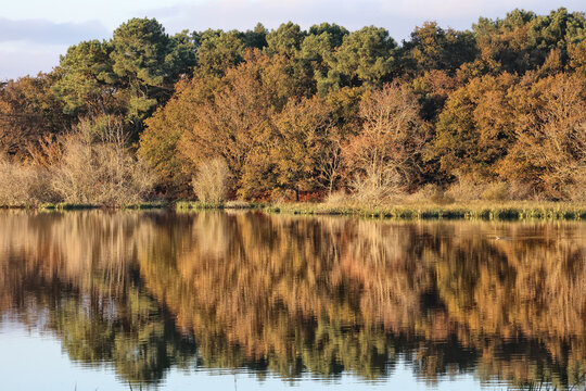 marais de Suscinio