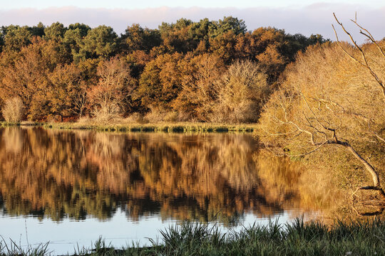 marais de Suscinio