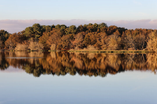 marais de Suscinio