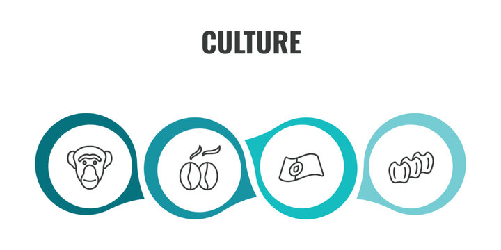 culture outline icon set. thin line chimp face of brazil, coffee grains, portuguese, ajotomate icons. editable vector